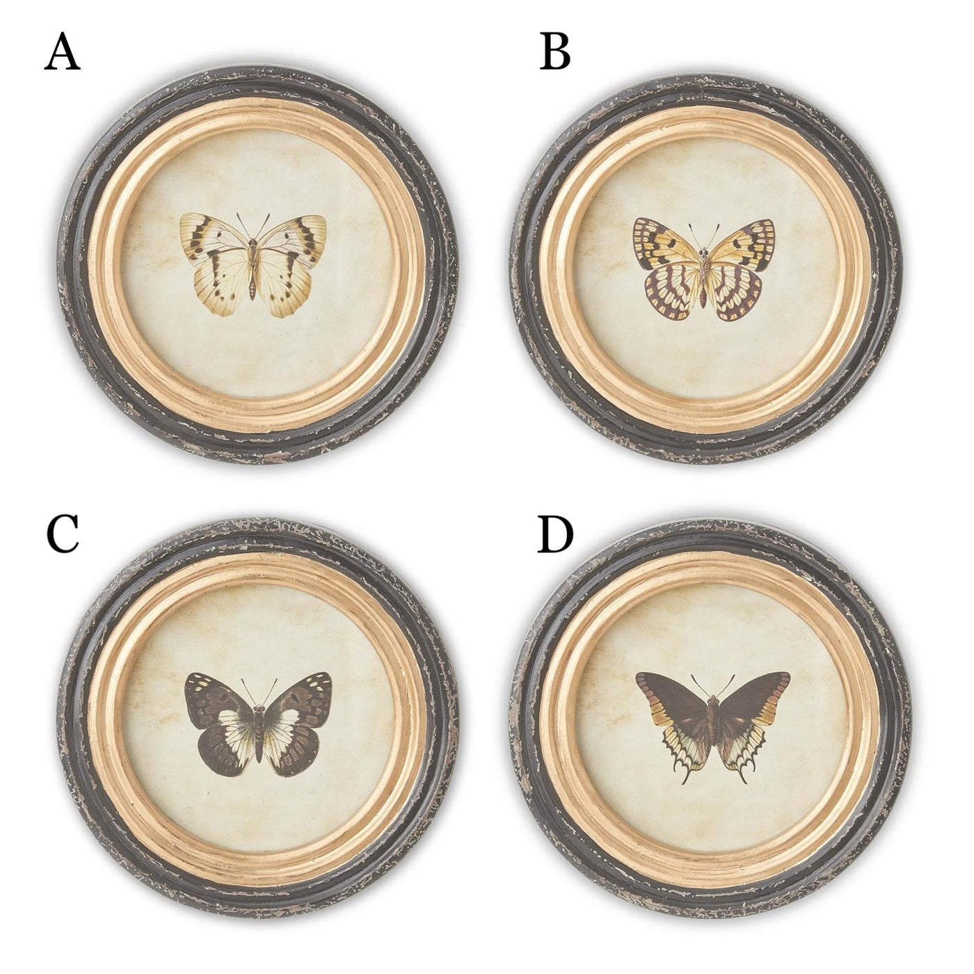 Round Butterfly Prints - Assorted