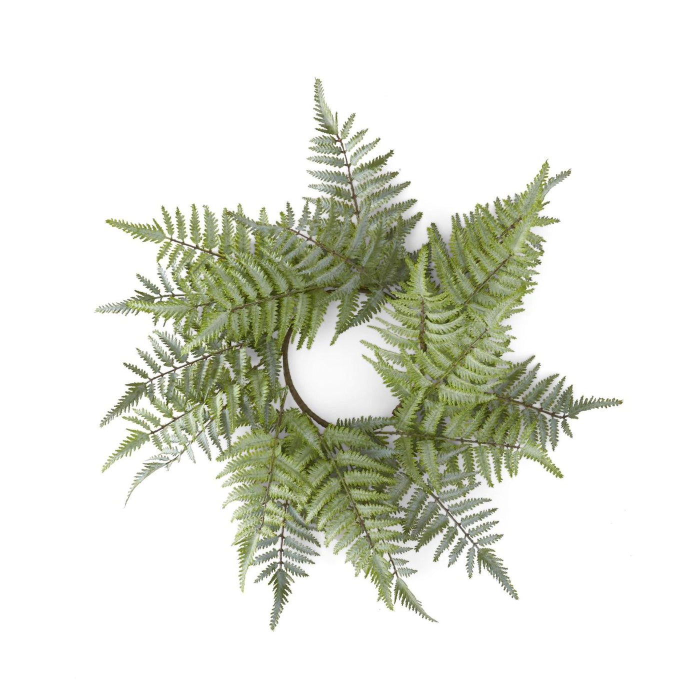 Real Touch Ostrich Fern 26" Wreath or Candle Ring