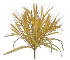 Wheat Bush, 20"