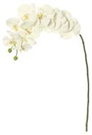 Real Touch White Orchid Stem