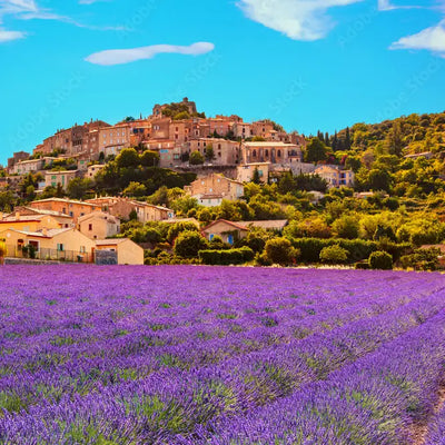 Handmade Lavender Candy from France