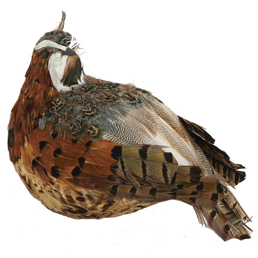 5" Brown & Green Feathered Quail