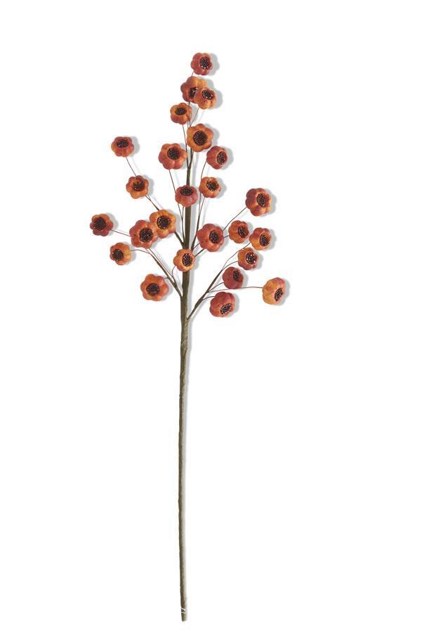 Orange Fig Stem, 27"