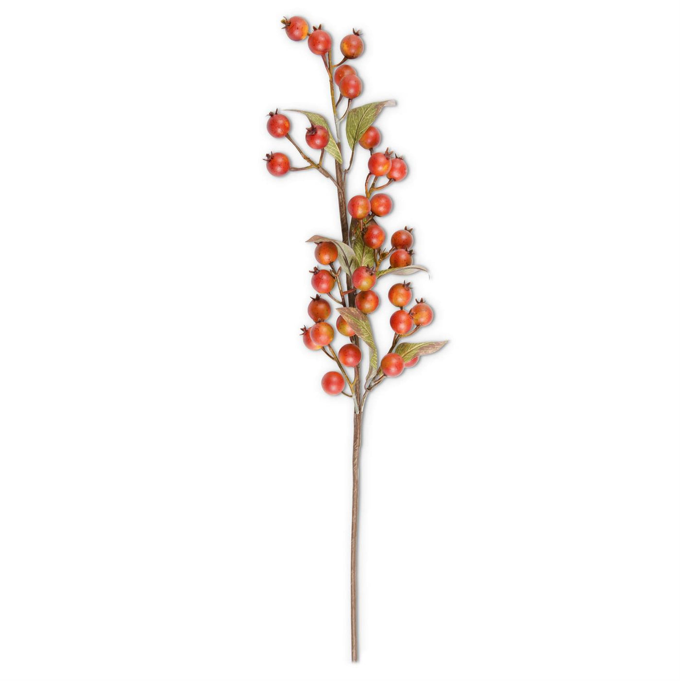 32" Rosehip Stem