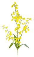 Dancing Orchid Stem 30"