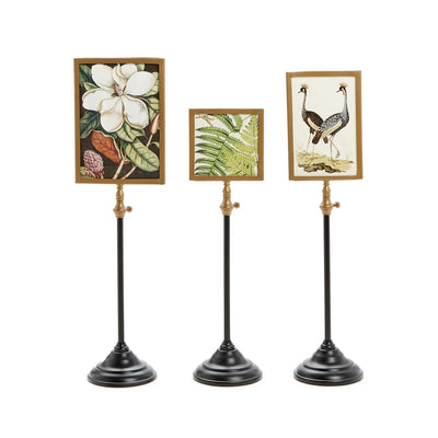 Photo Frames with Telescoping Pole