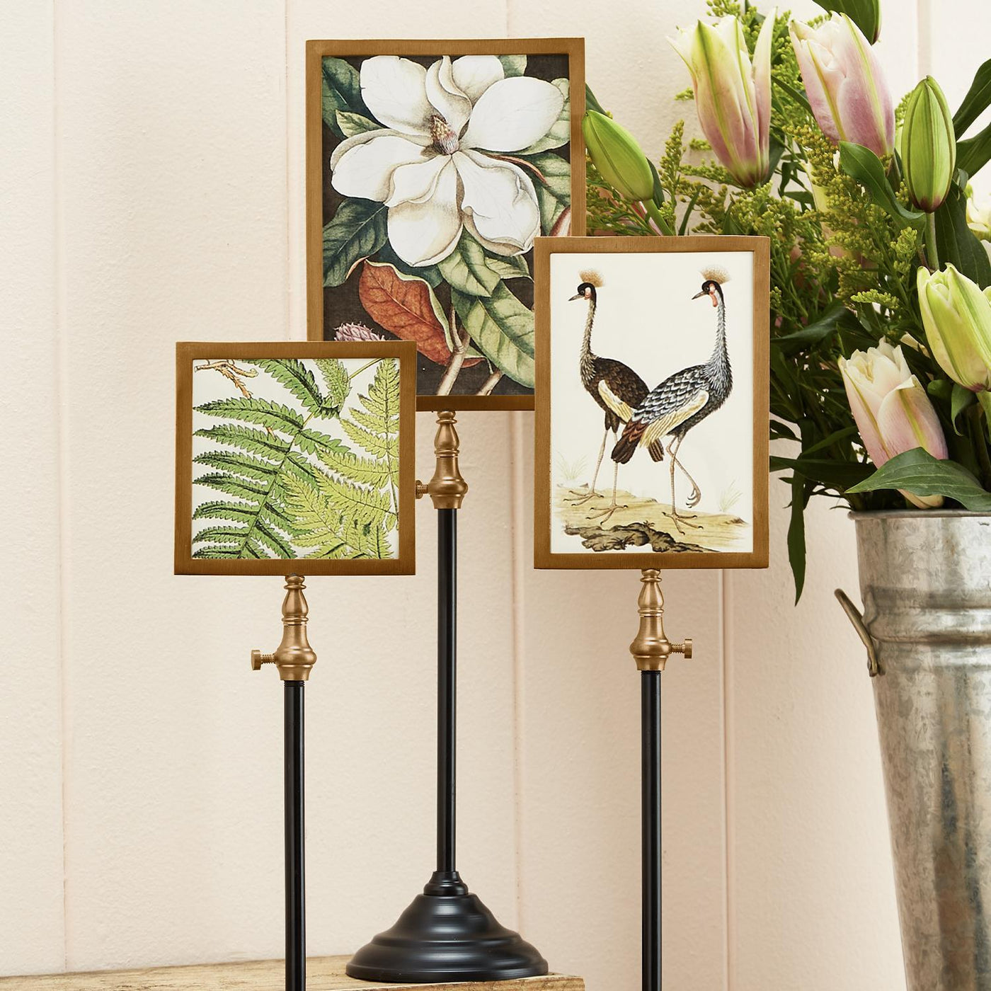 Photo Frames with Telescoping Pole