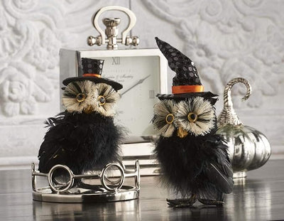 Assorted Black Feather Owl with Hat