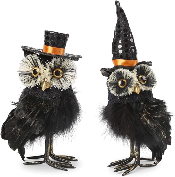 Assorted Black Feather Owl with Hat