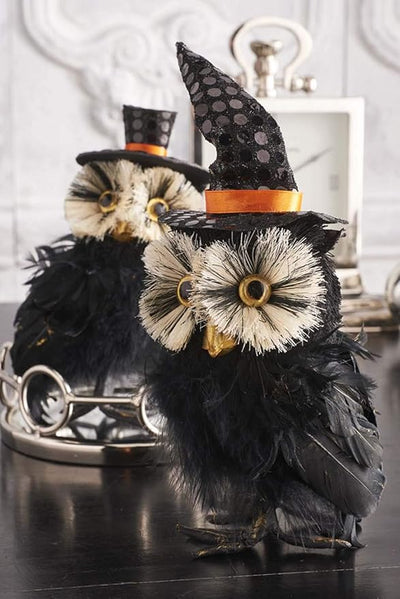 Assorted Black Feather Owl with Hat