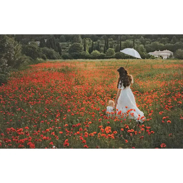 Flowers of Provence