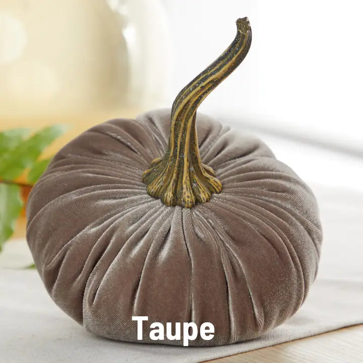 Large & Small Assorted Velvet Pumpkins