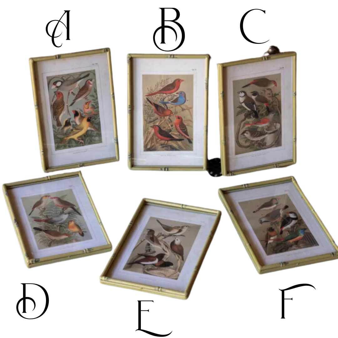 Songbirds in Faux Bamboo Frame