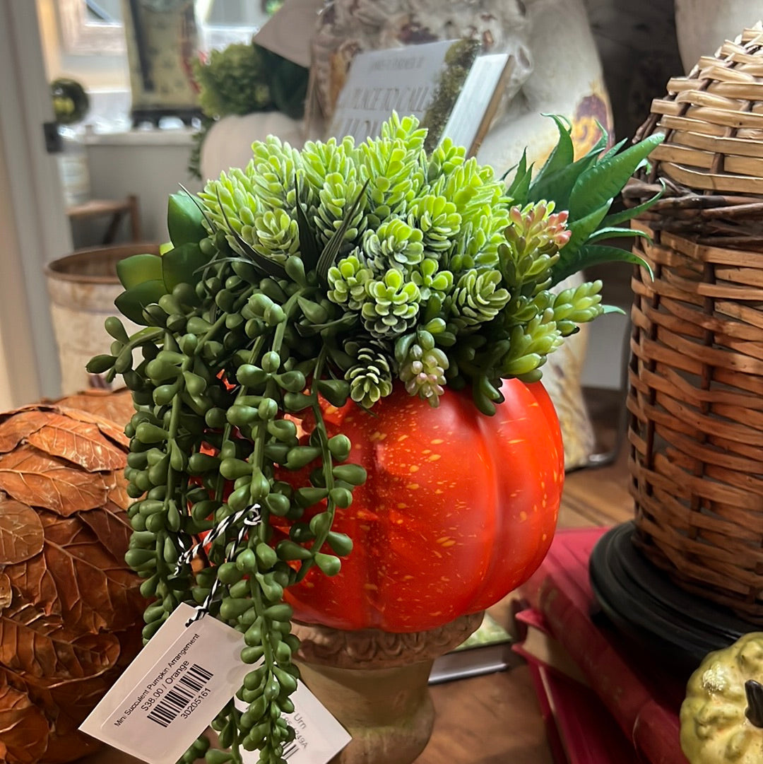 Mini Succulent Pumpkin Arrangement