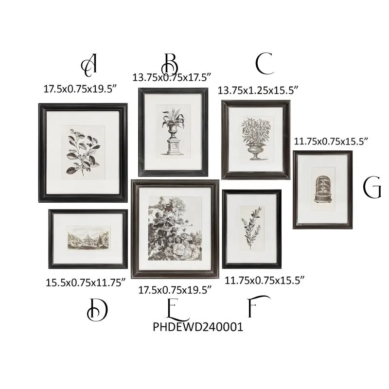 Black & White Collected Botanical Framed Prints