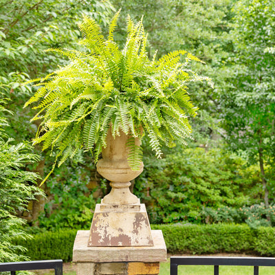 Aged Metal Entry Urn