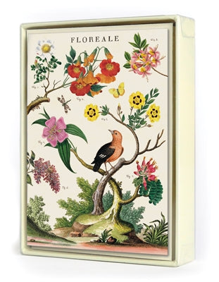 Floreale Boxed Note Cards