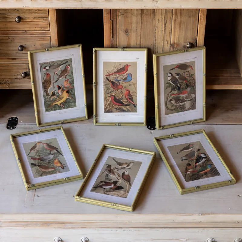 Songbirds in Faux Bamboo Frame