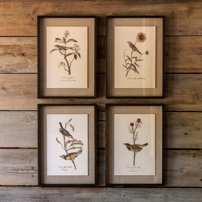 Bird and Botanical Print