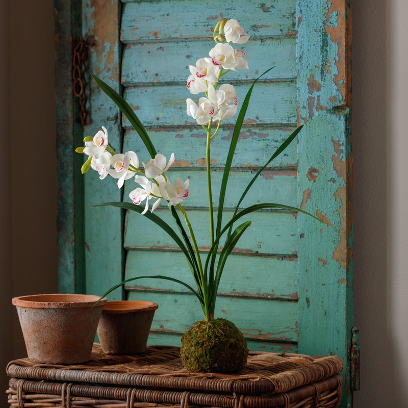 Garden & Florals – The French Cottage