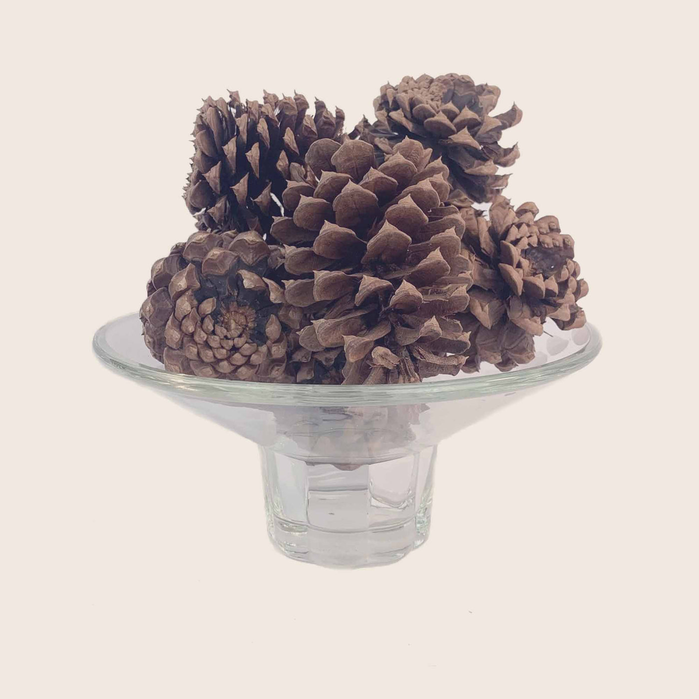 Cinnamon Cider - Pinecone Bag -