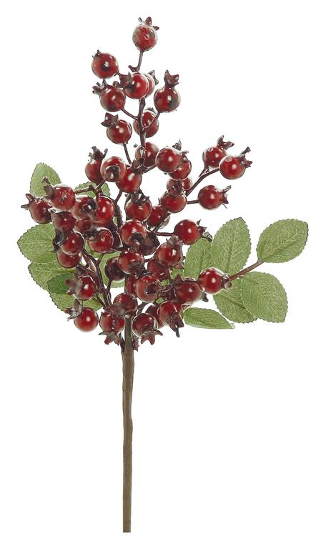 ROSEHIP PICK, 14", RED