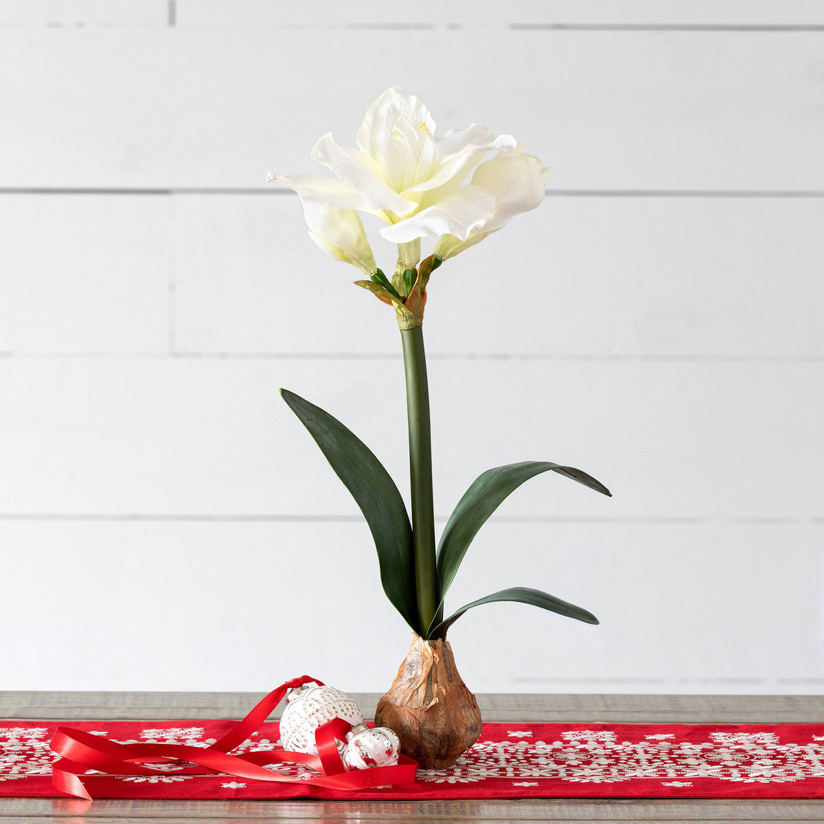 Faux Silk Amaryllis in Bulb, White