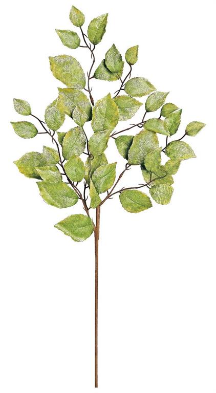 METALLIC BEECH LEAF SPRAY, 35"