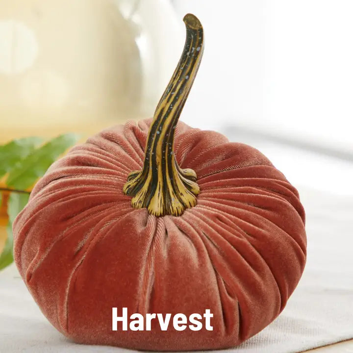 Large & Small Assorted Velvet Pumpkins