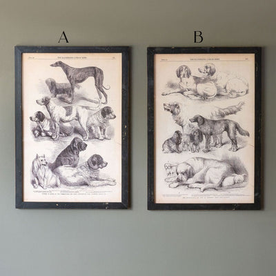 Canine Species Sepia Prints, 2 Assorted Styles