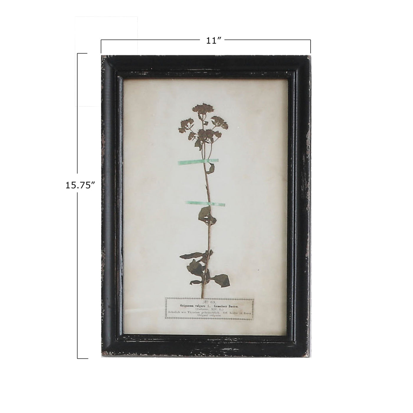 Framed Wall Decor with Floral Art