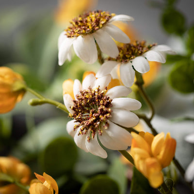 Daisy Mixed Foliage Wreath