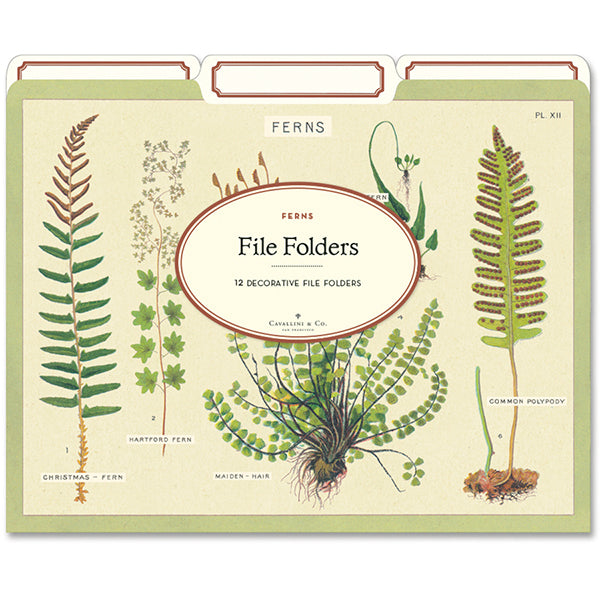 Fern File Folders