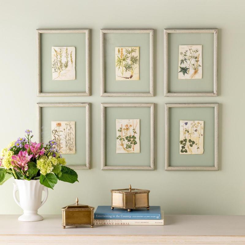 Floating Framed Botanical Prints, 6 Assorted Styles