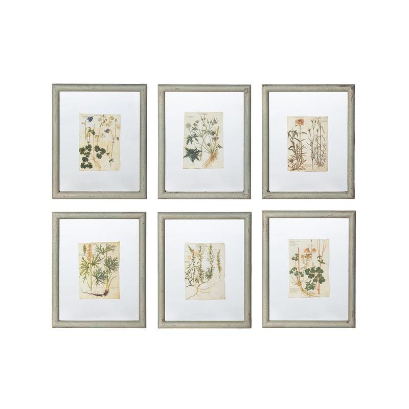 Floating Framed Botanical Prints, 6 Assorted Styles