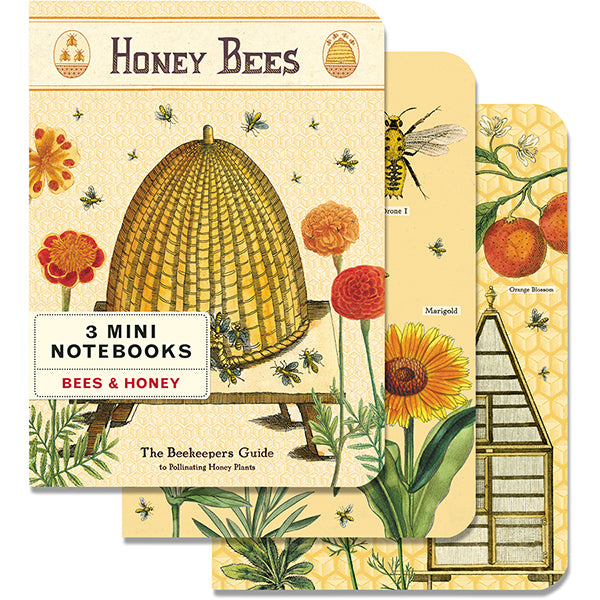 Bees & Honey 3 Notebook Set