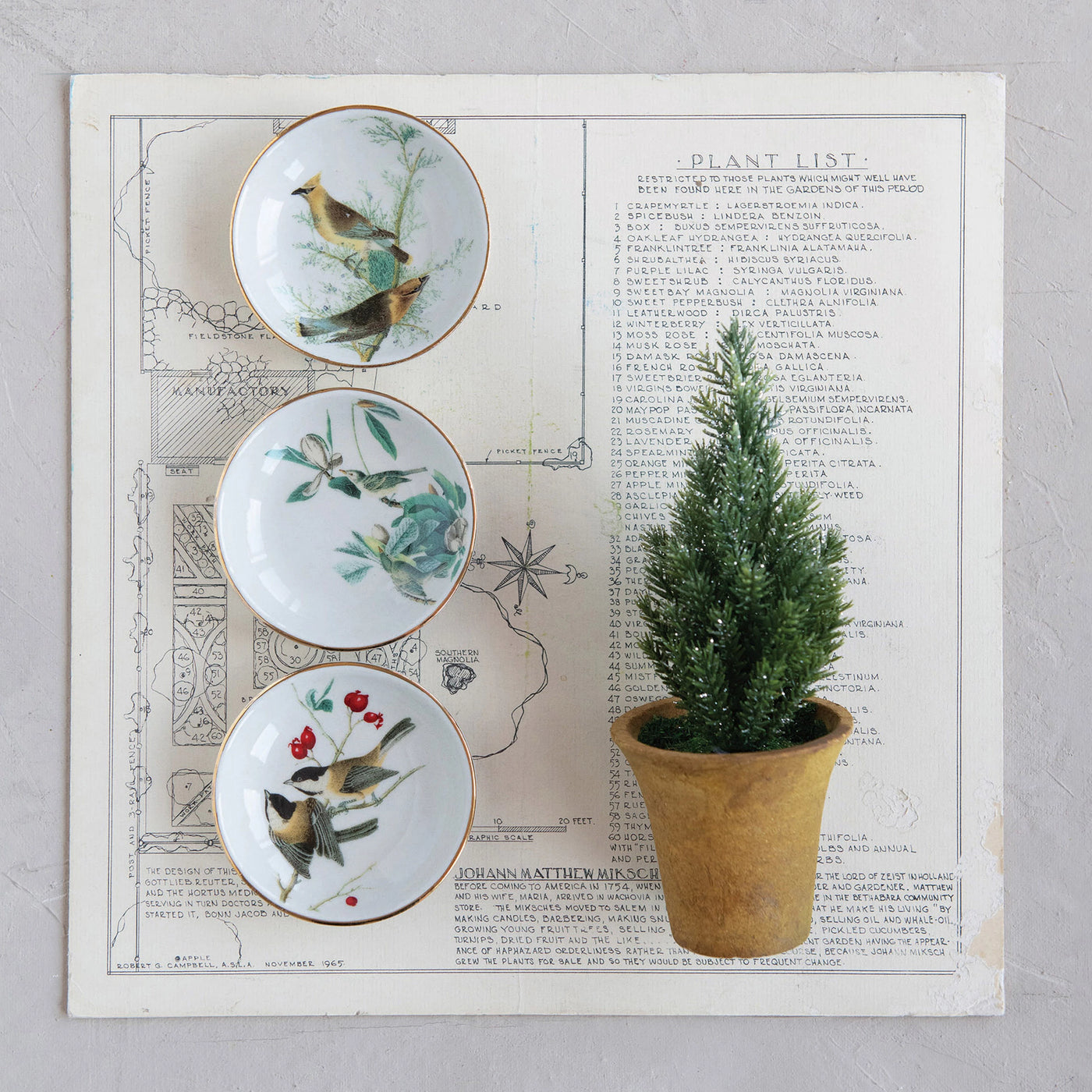 Plate with Vintage Reproduction Birds Image, 3 Styles