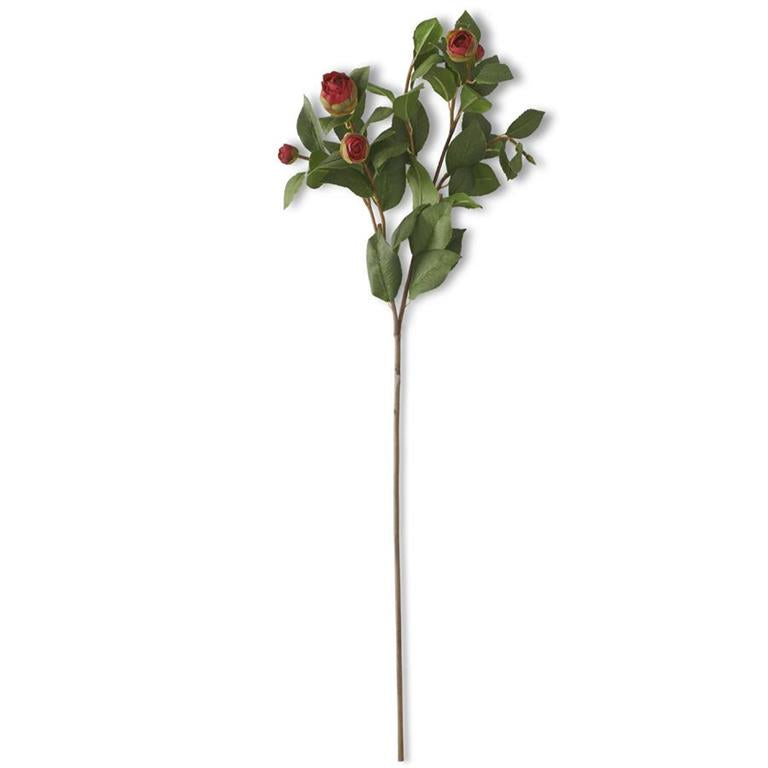 28" Red Peony Stem