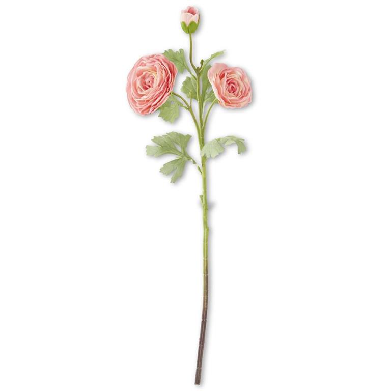 Dotch Ranunculus Real Touch Ranunculus – The French Cottage