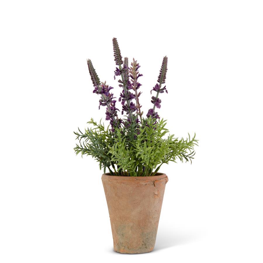 Lavender in Distressed Clay Pot, 12.5"