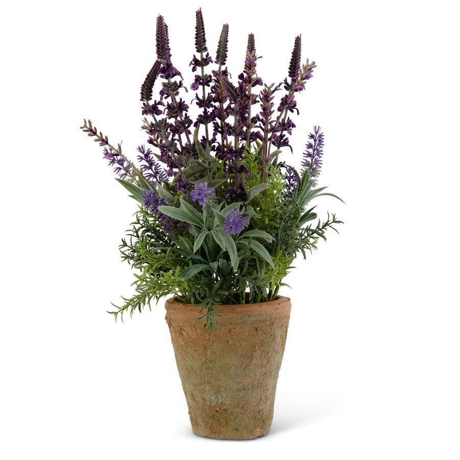 17" Purple Lavender in Distressed Clay Pot