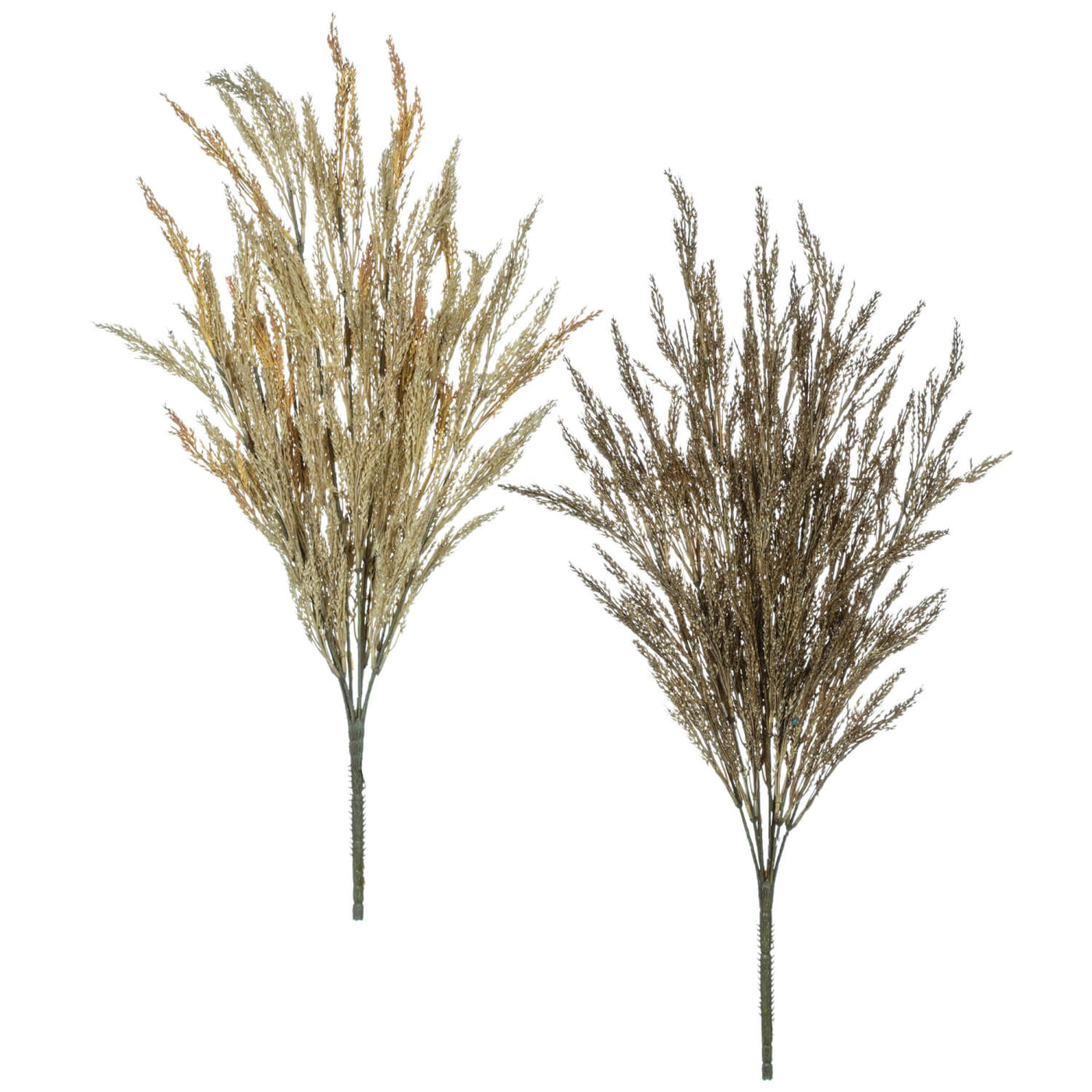 Wheat Grass Stem Bundle