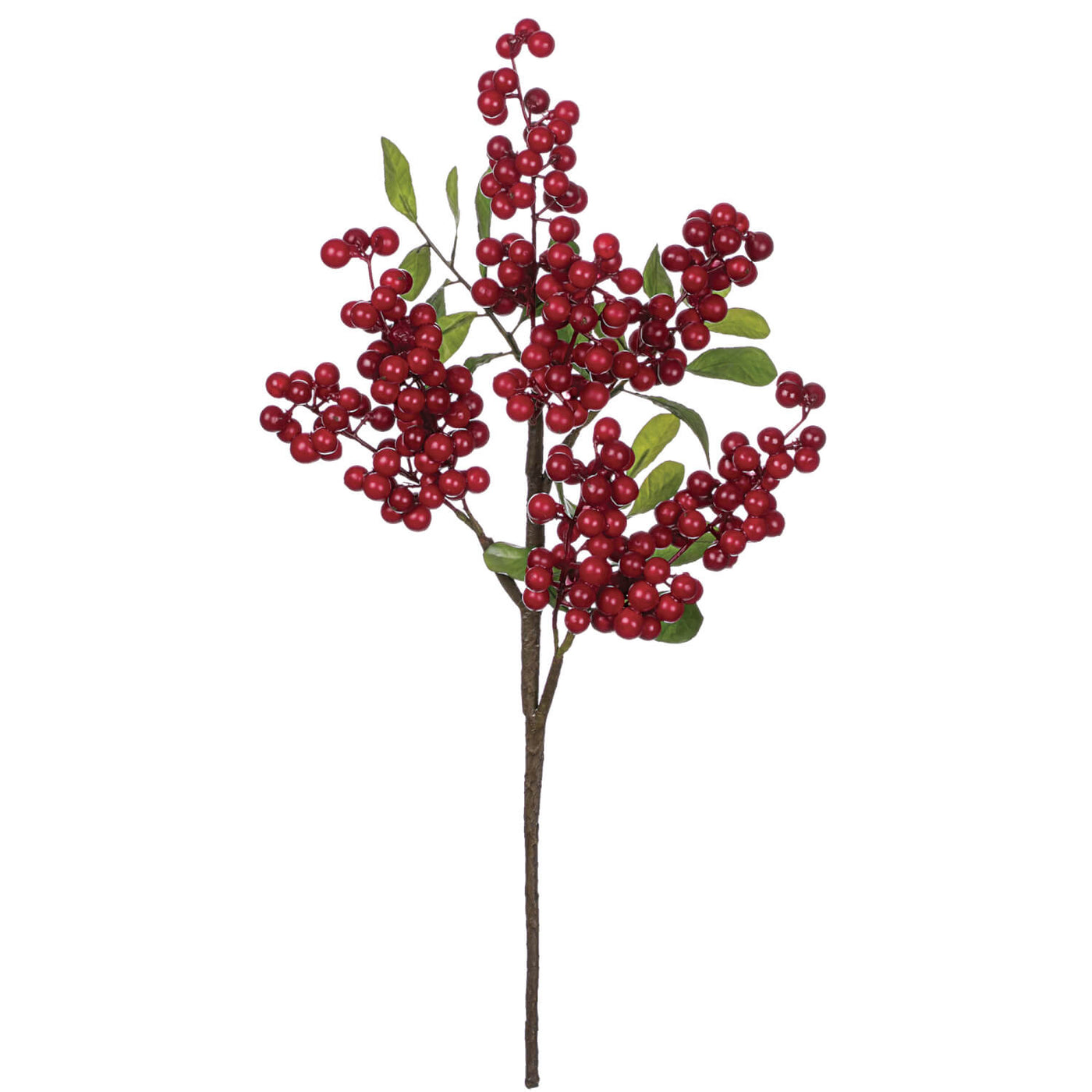 Red Berry Stem with Leaves