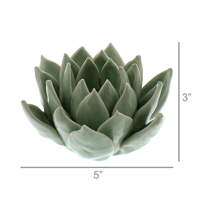 Succulent Tealight Holder