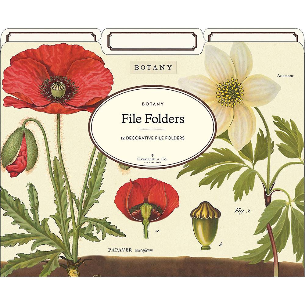 Botany File Folders