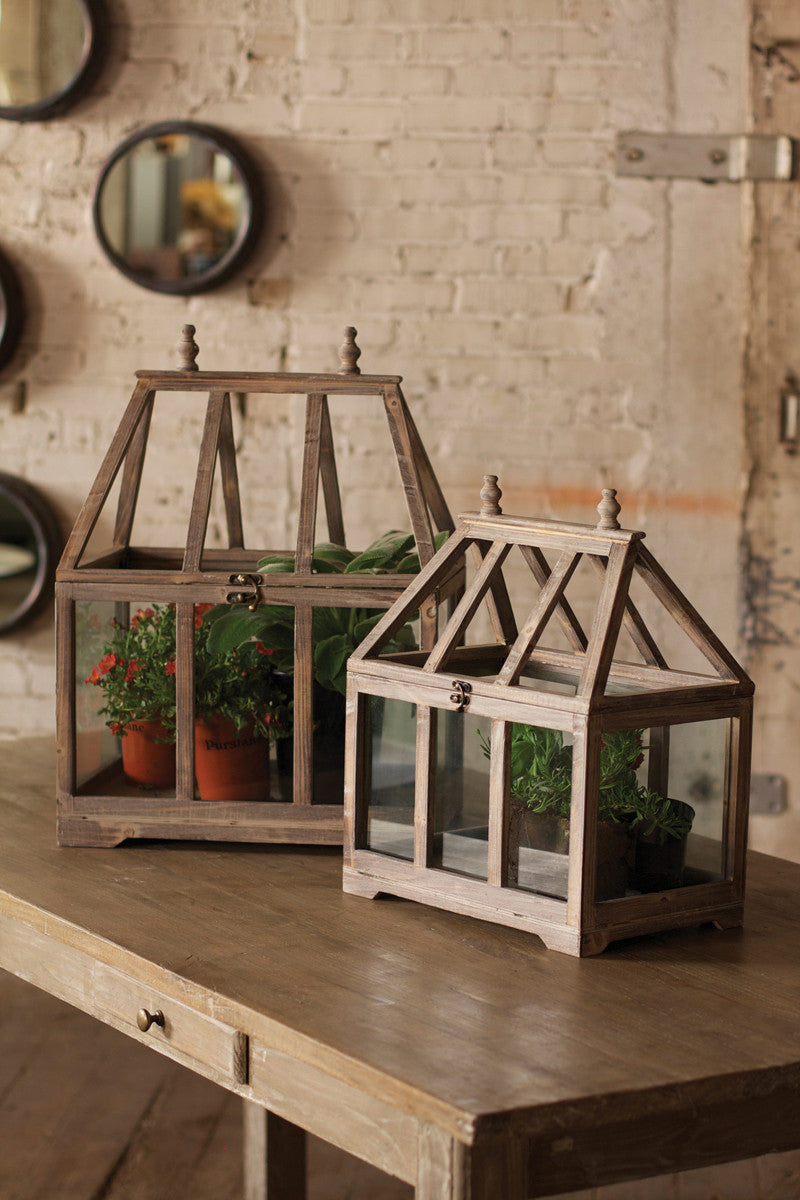 Small Wood & Glass Terrarium
