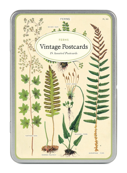 Ferns Postcards