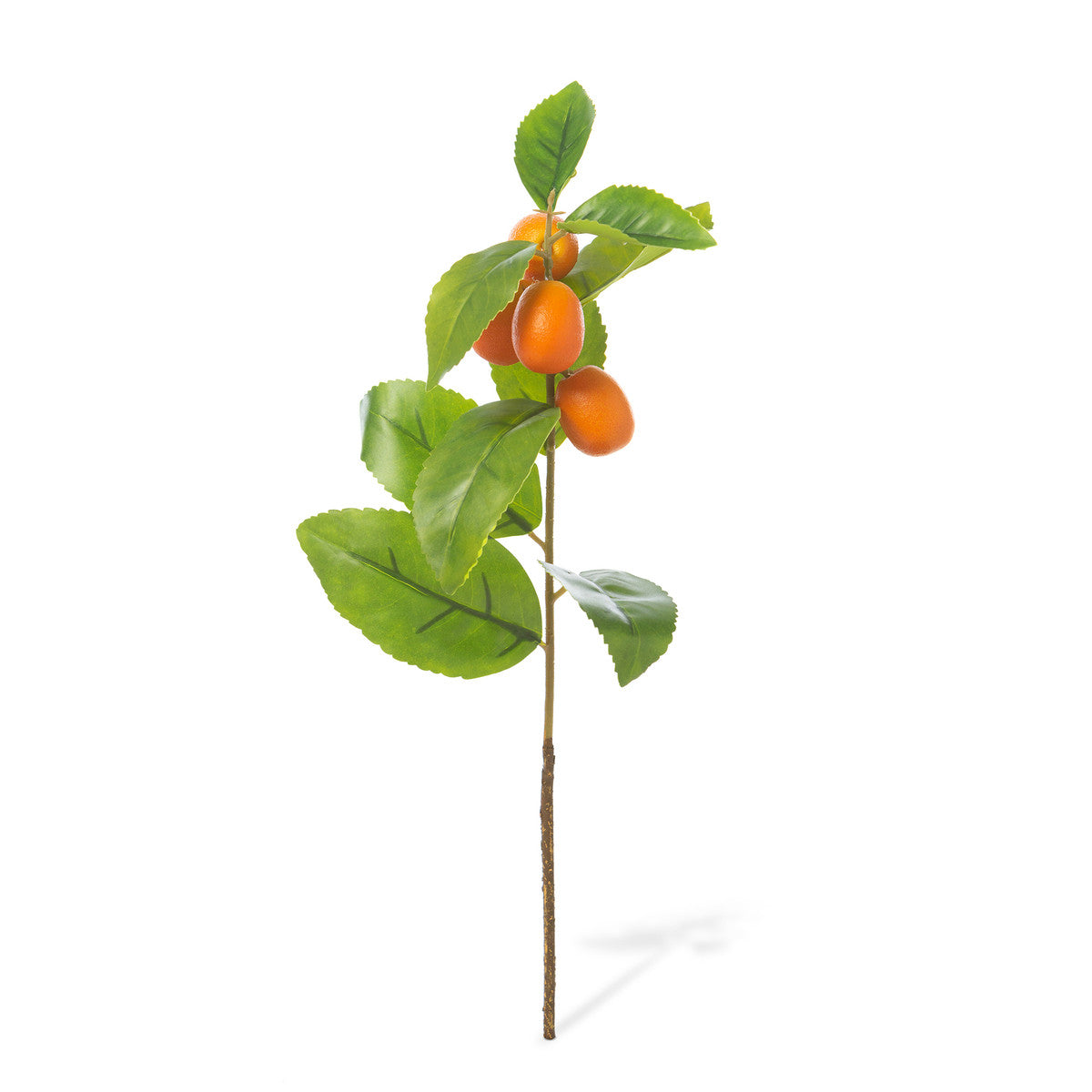 Crafted Kumquat Stem