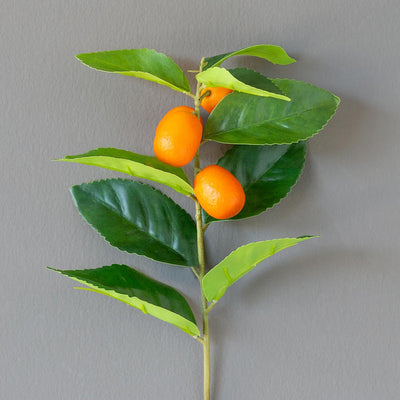 Crafted Kumquat Stem