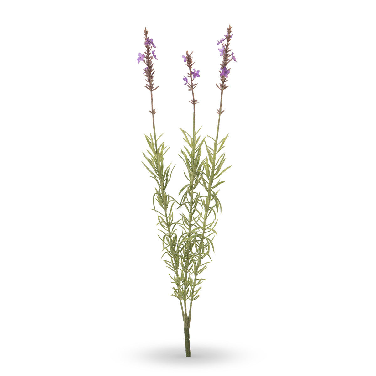 Lavender Stem – The French Cottage